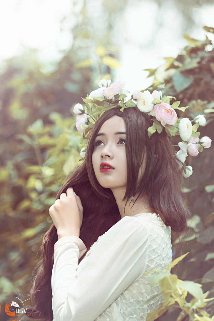 秘密的校园电视剧